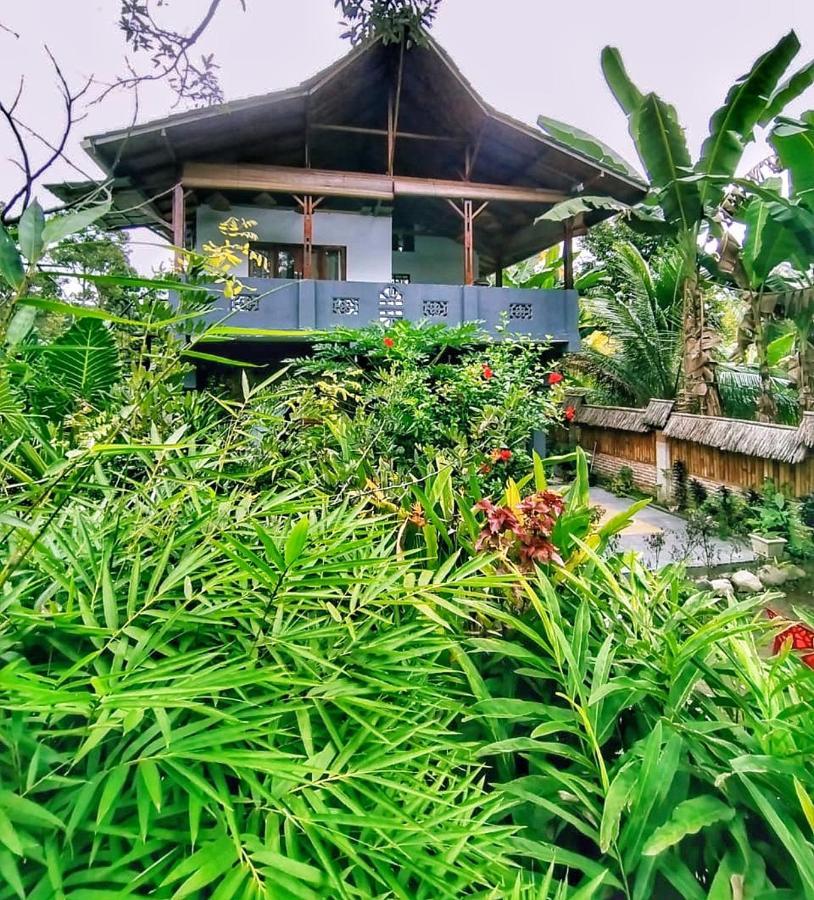 Sumatra Orangutan Discovery Villa Bukit Lawang Exterior foto