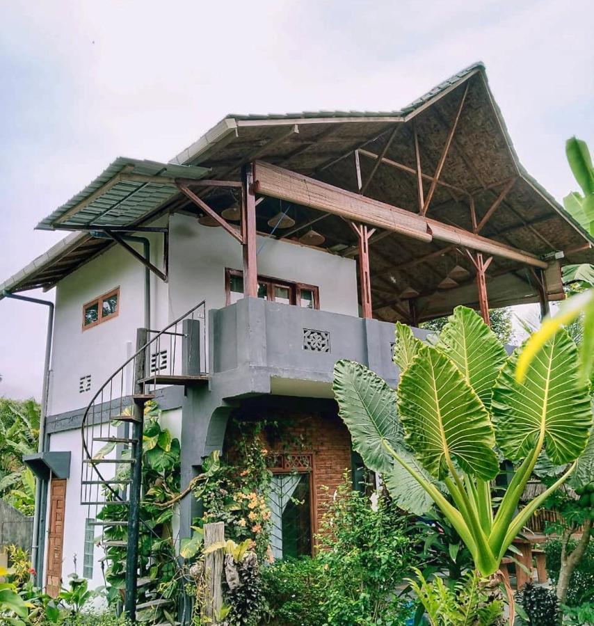 Sumatra Orangutan Discovery Villa Bukit Lawang Exterior foto