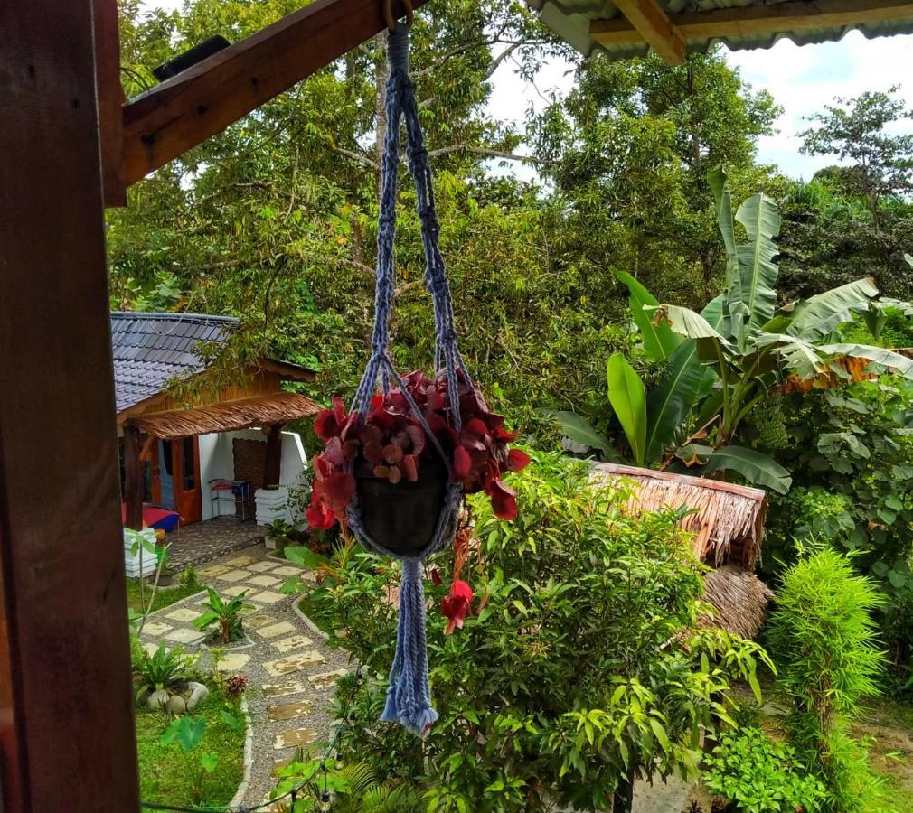 Sumatra Orangutan Discovery Villa Bukit Lawang Exterior foto