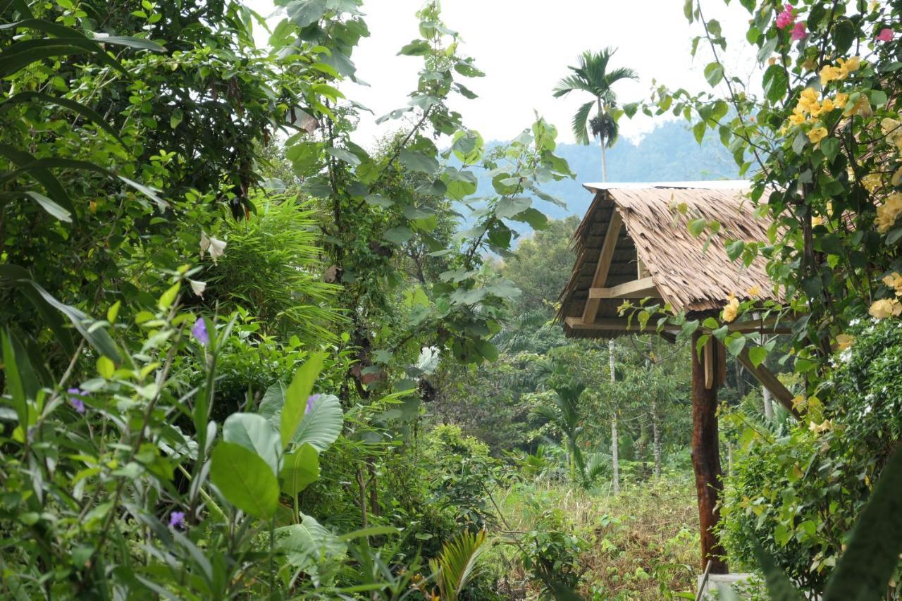 Sumatra Orangutan Discovery Villa Bukit Lawang Exterior foto